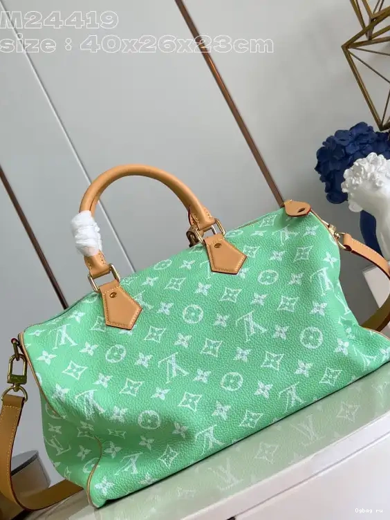 40 Vuitton SPEEDY Louis 0519